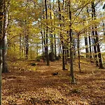 Kwatera prywatna Sarna Karkonosze *