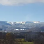 Sarna Karkonosze *