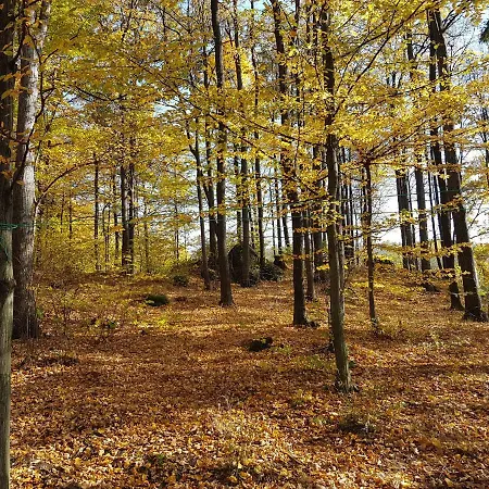 Rum i privatbostad Sarna Karkonosze *