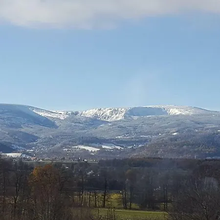 Sarna Karkonosze *