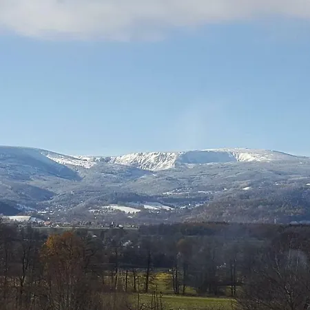 Sarna Karkonosze *