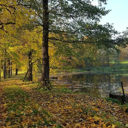 Rum i privatbostad Sarna Karkonosze Bukowiec (Lower Silesia)