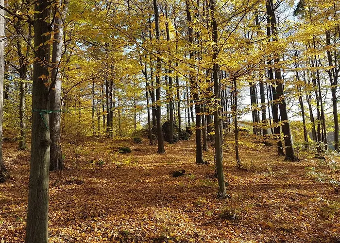 Kwatera prywatna Sarna Karkonosze *