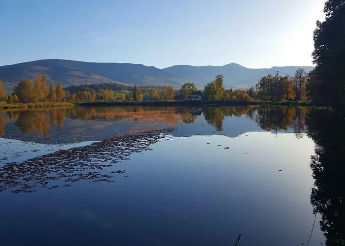 Sarna Karkonosze Kwatera prywatna